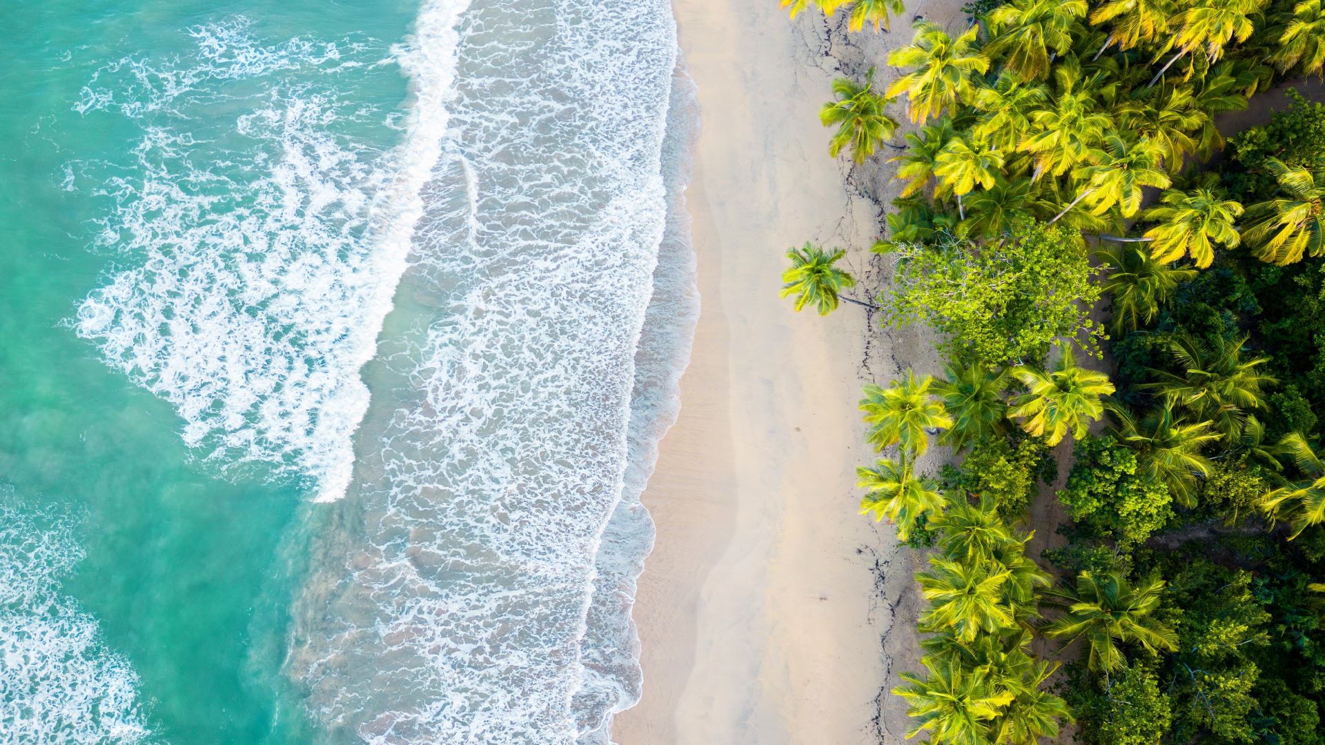 vacaciones-gratis-con-multimoney